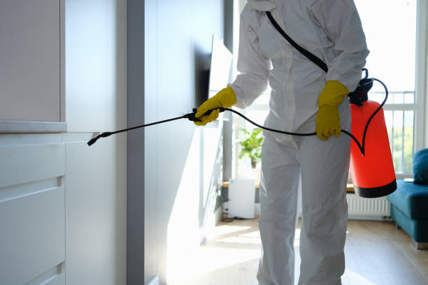 Best HVAC Mold Remediation in Woodville, FL